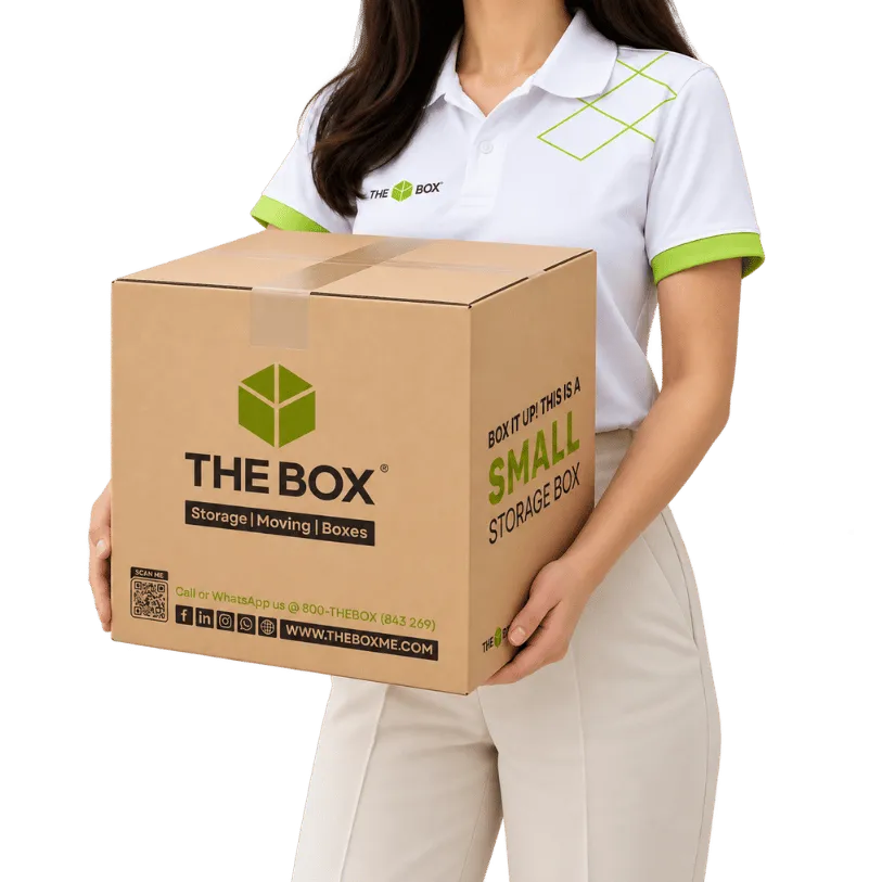 High-Quality Small Sized Cardboard Box Pack of 3